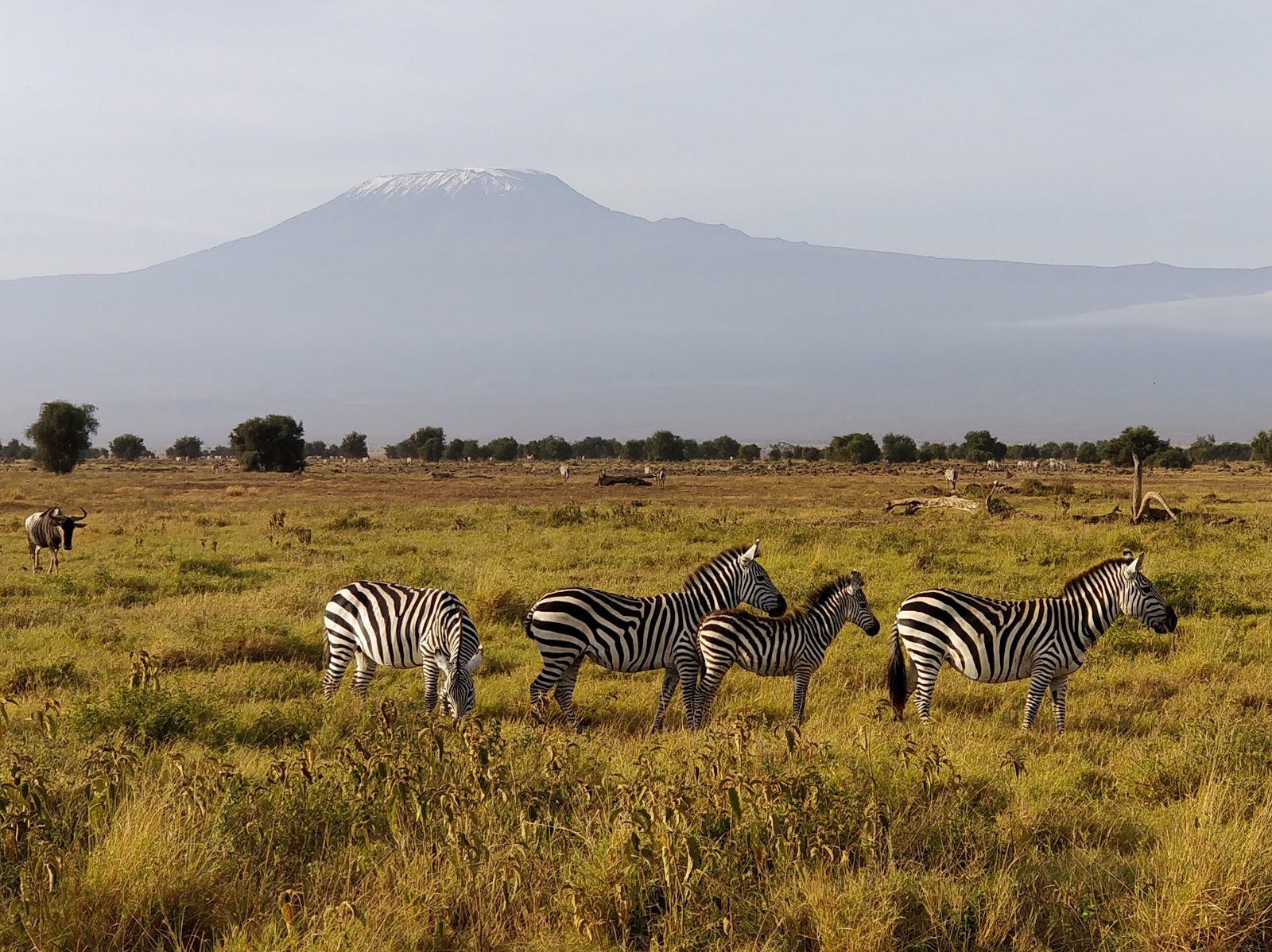 Amboseli-National-Park city