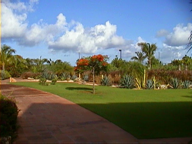 Anguilla city