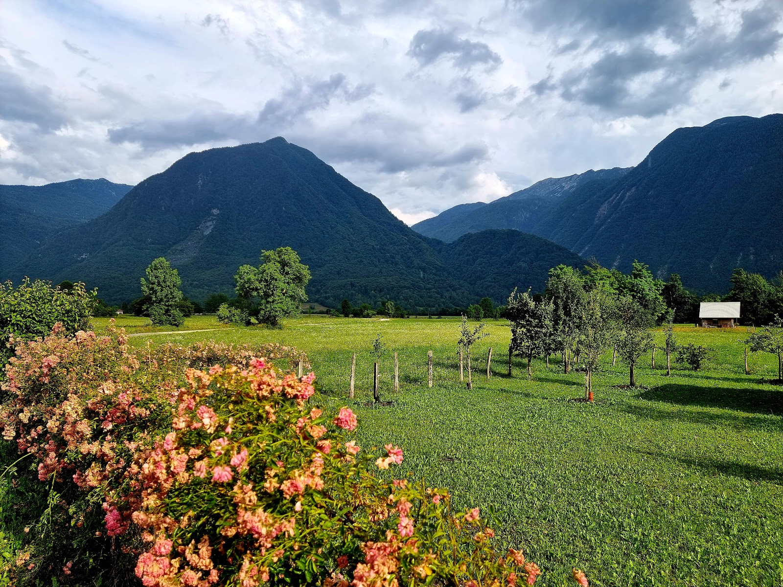 Bovec city