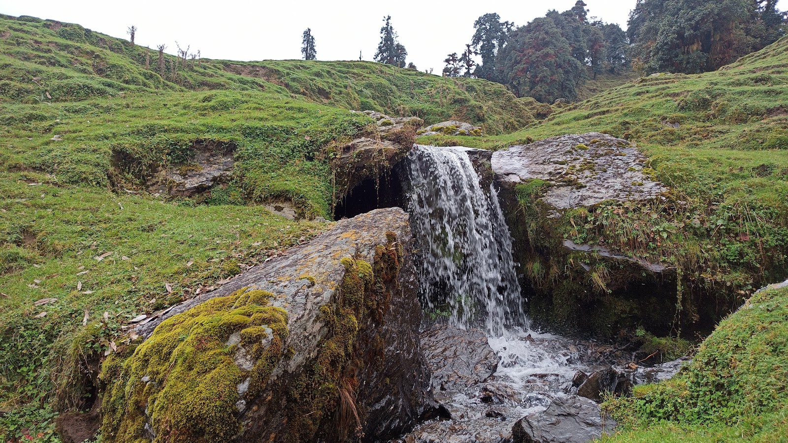 Chopta city