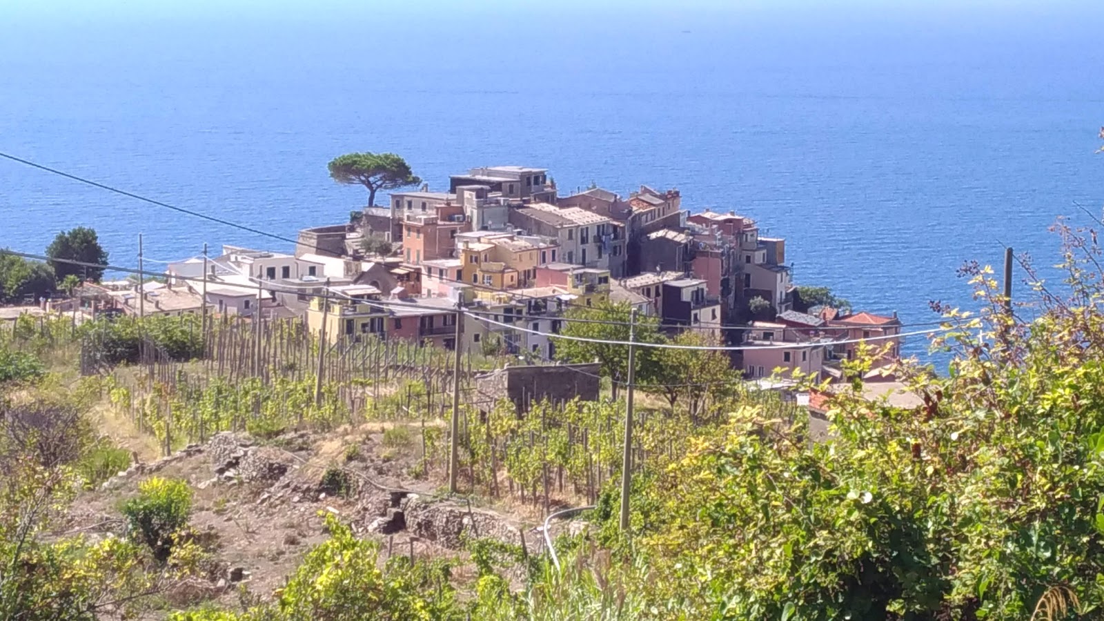 Corniglia city