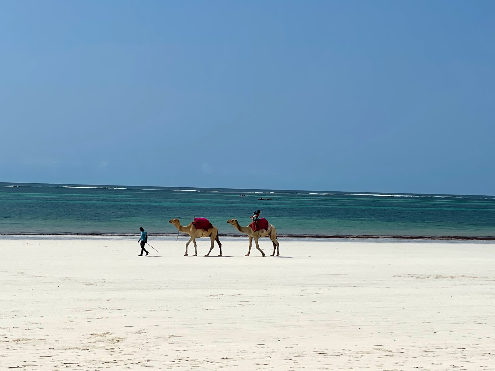 Diani-Beach city