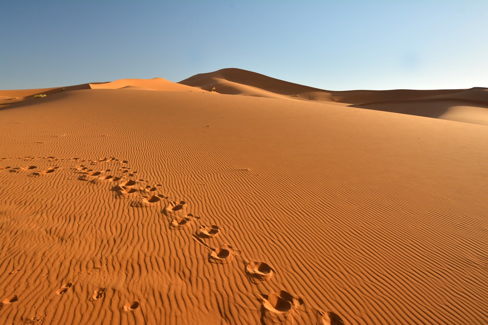 Erg-Chebbi city