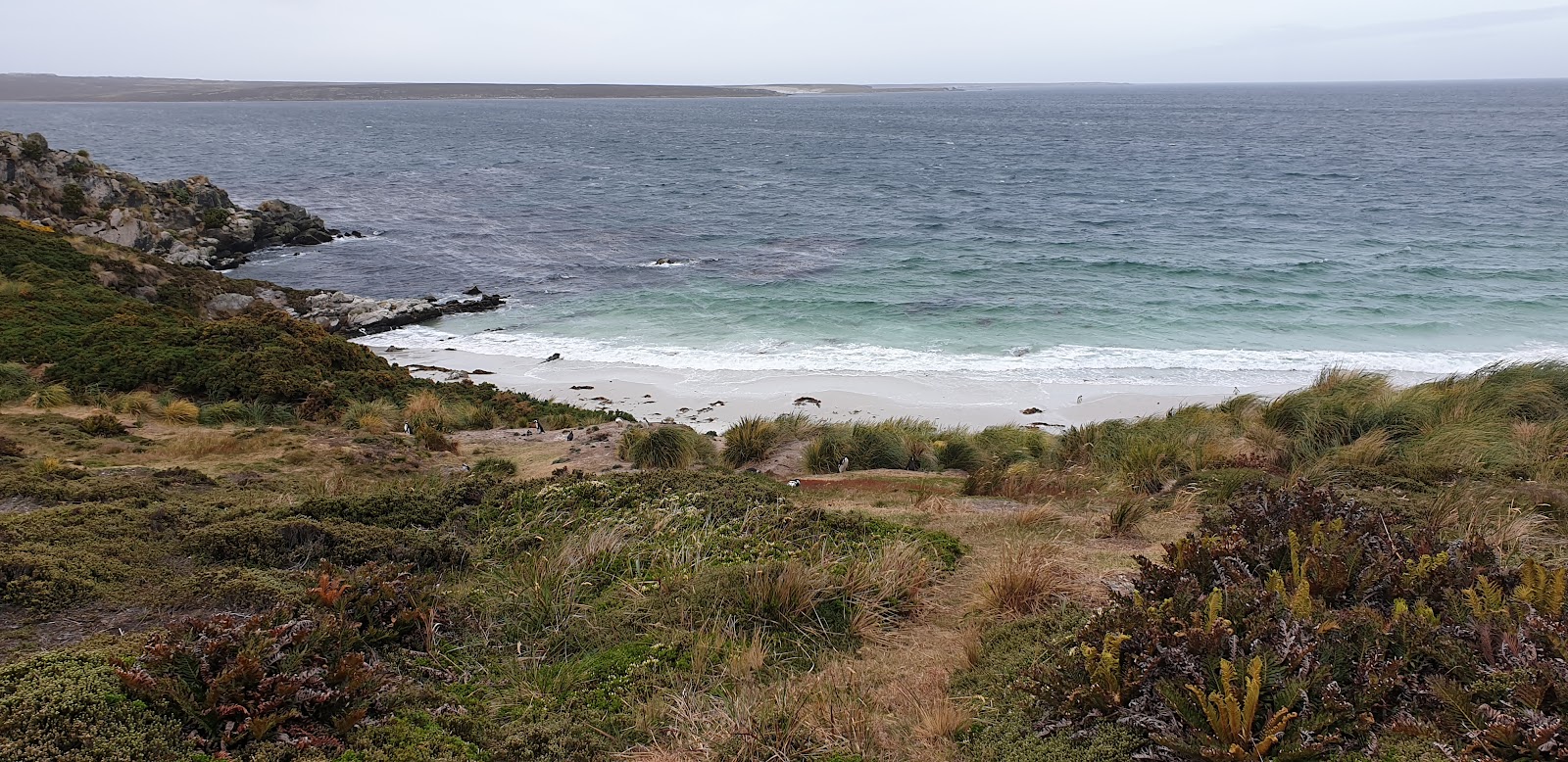 Falkland-Islands city