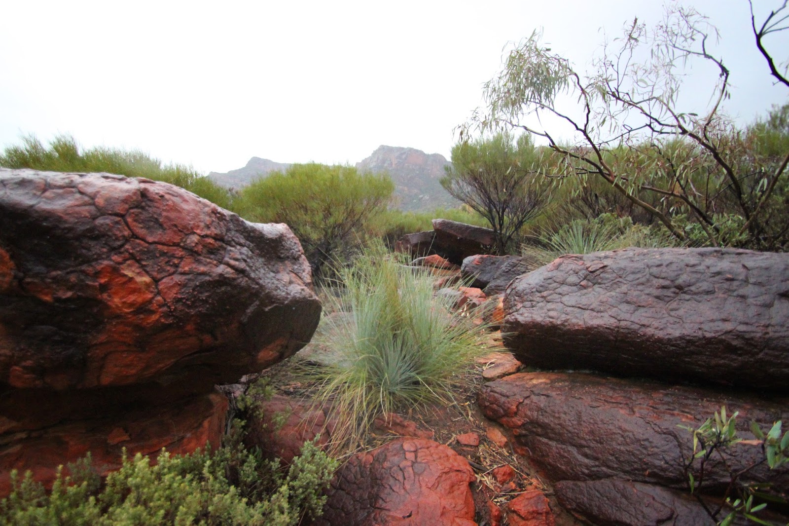 Flinders-Ranges-National-Park city