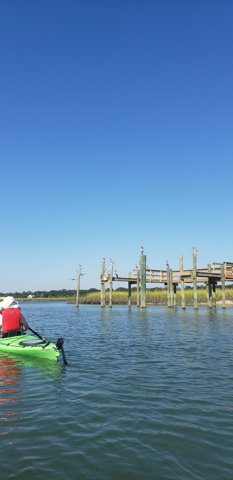 Folly-Beach city