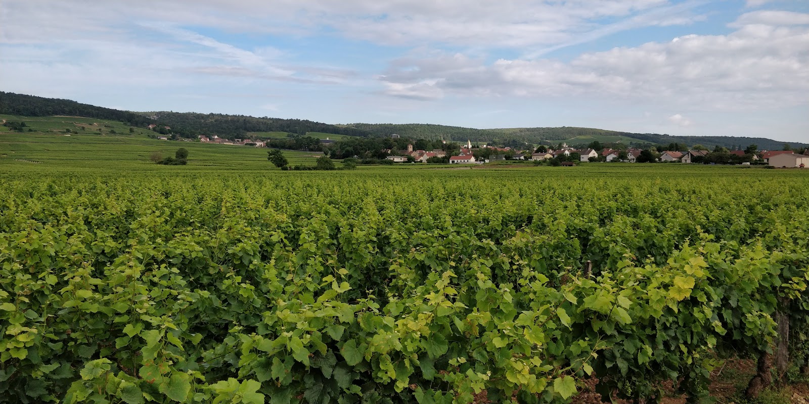 Gevrey-Chambertin city