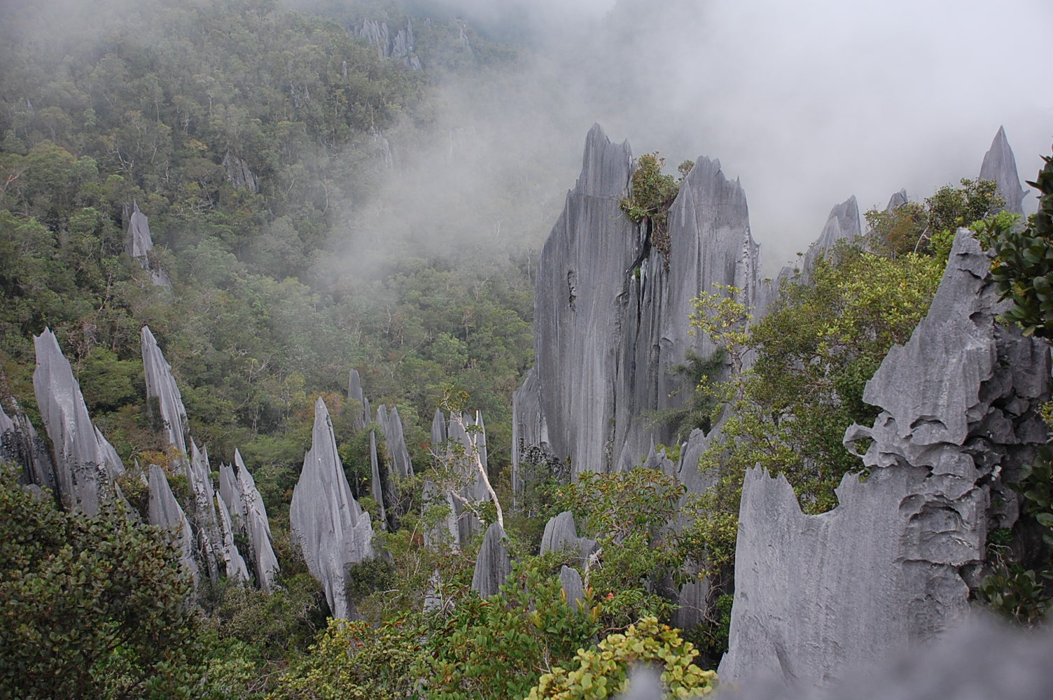 Gunung-Mulu-National-Park city