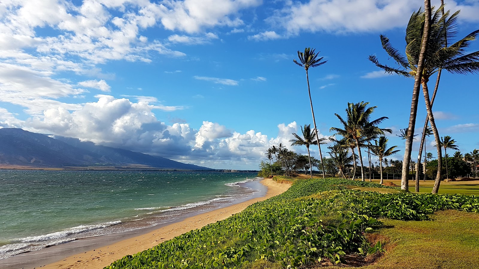 Kihei city