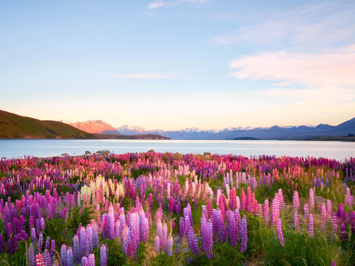 Lake-Tekapo city