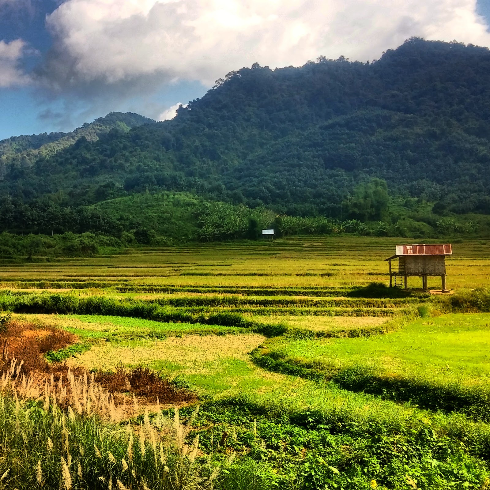 Luang-Namtha city