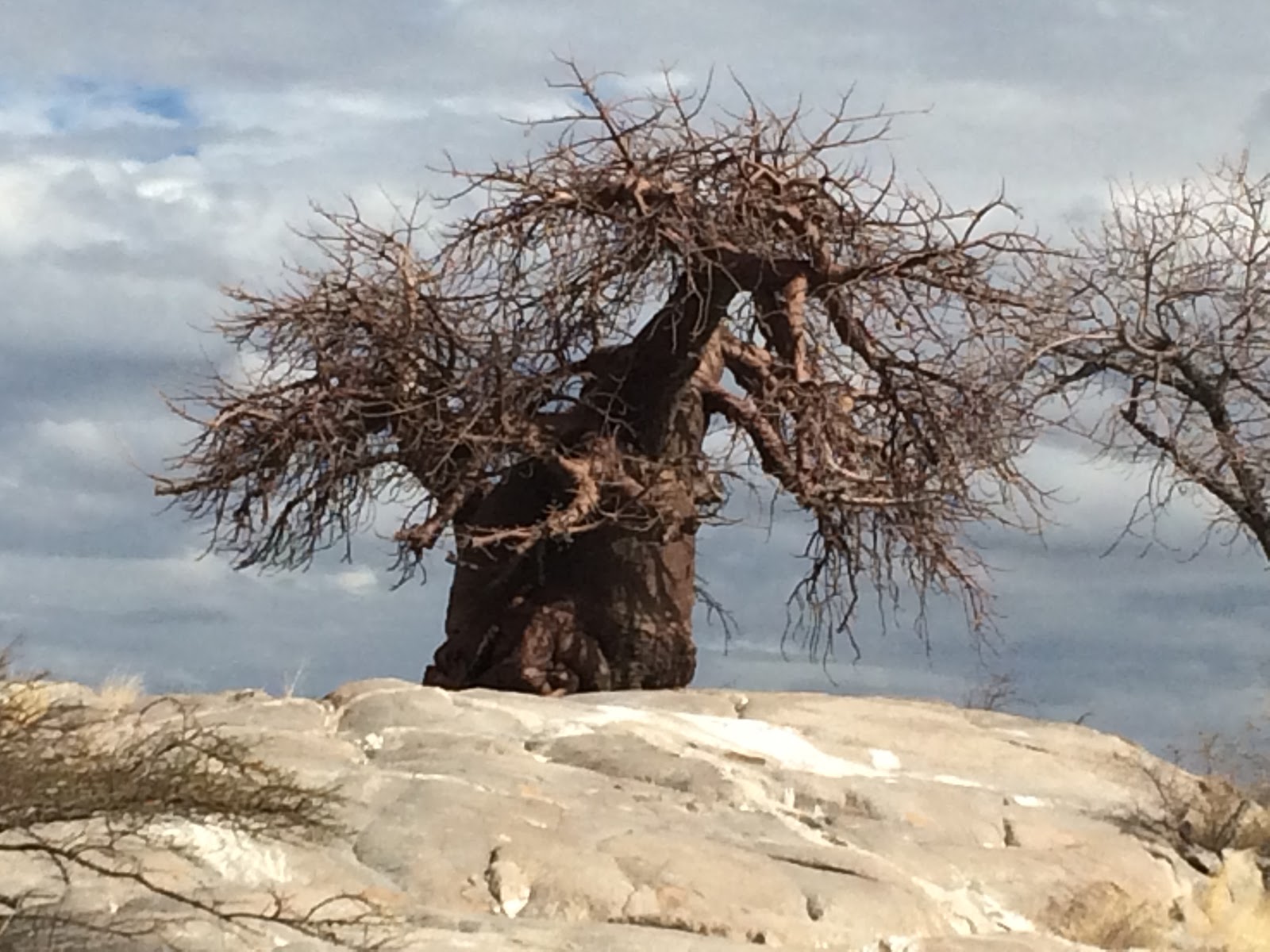 Makgadikgadi-Pans-National-Park city