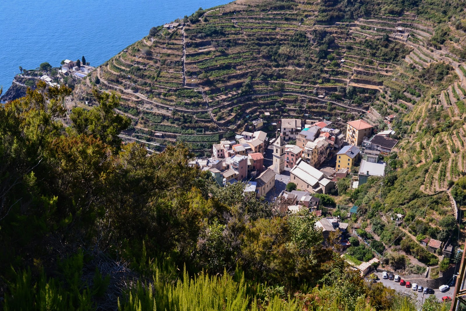 Manarola city