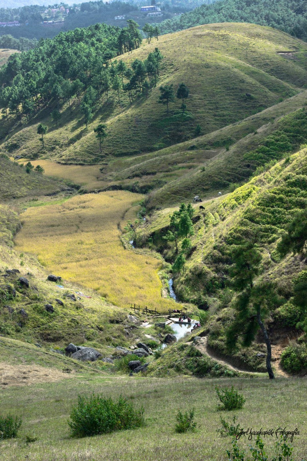 Meghalaya city