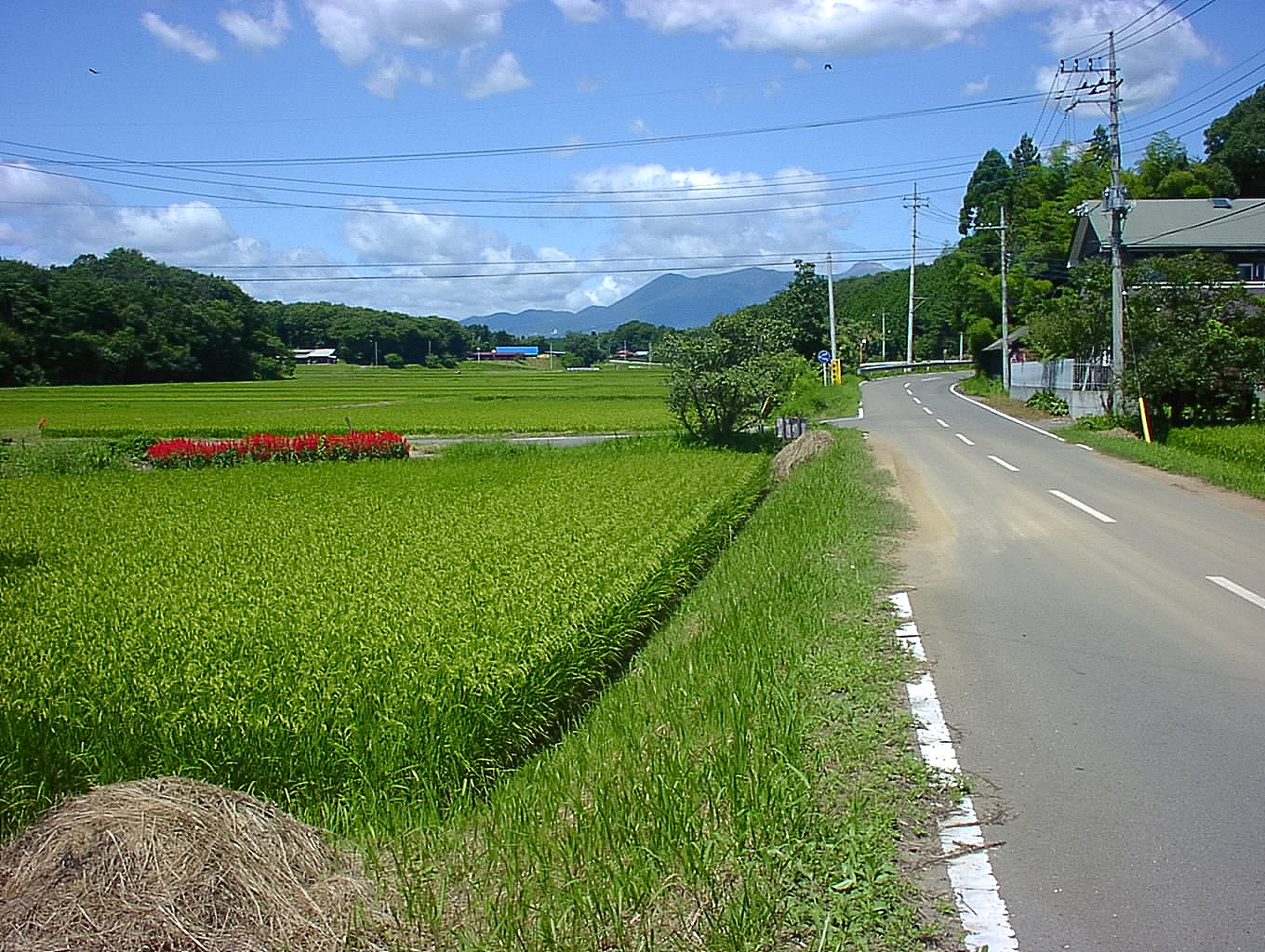 Nasu-machi city