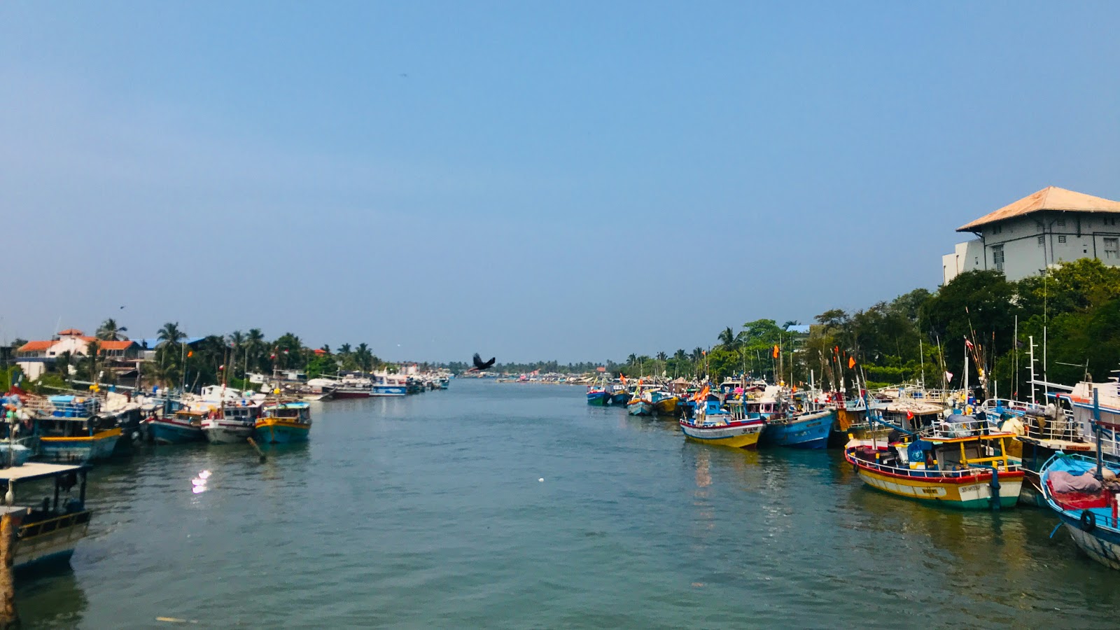 Negombo city