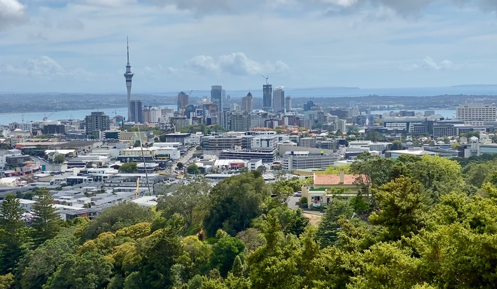 New-Zealand city