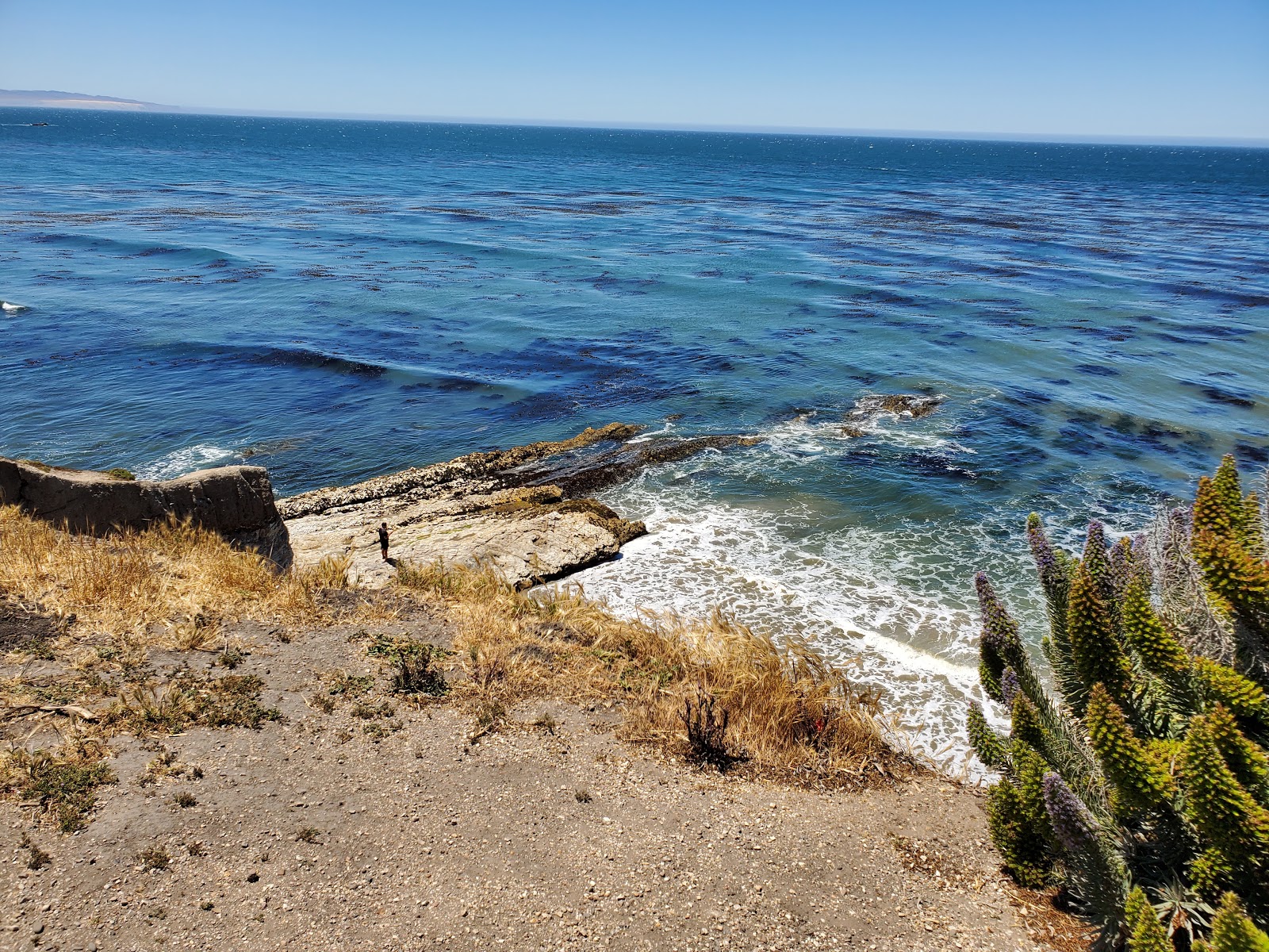 Pismo-Beach city