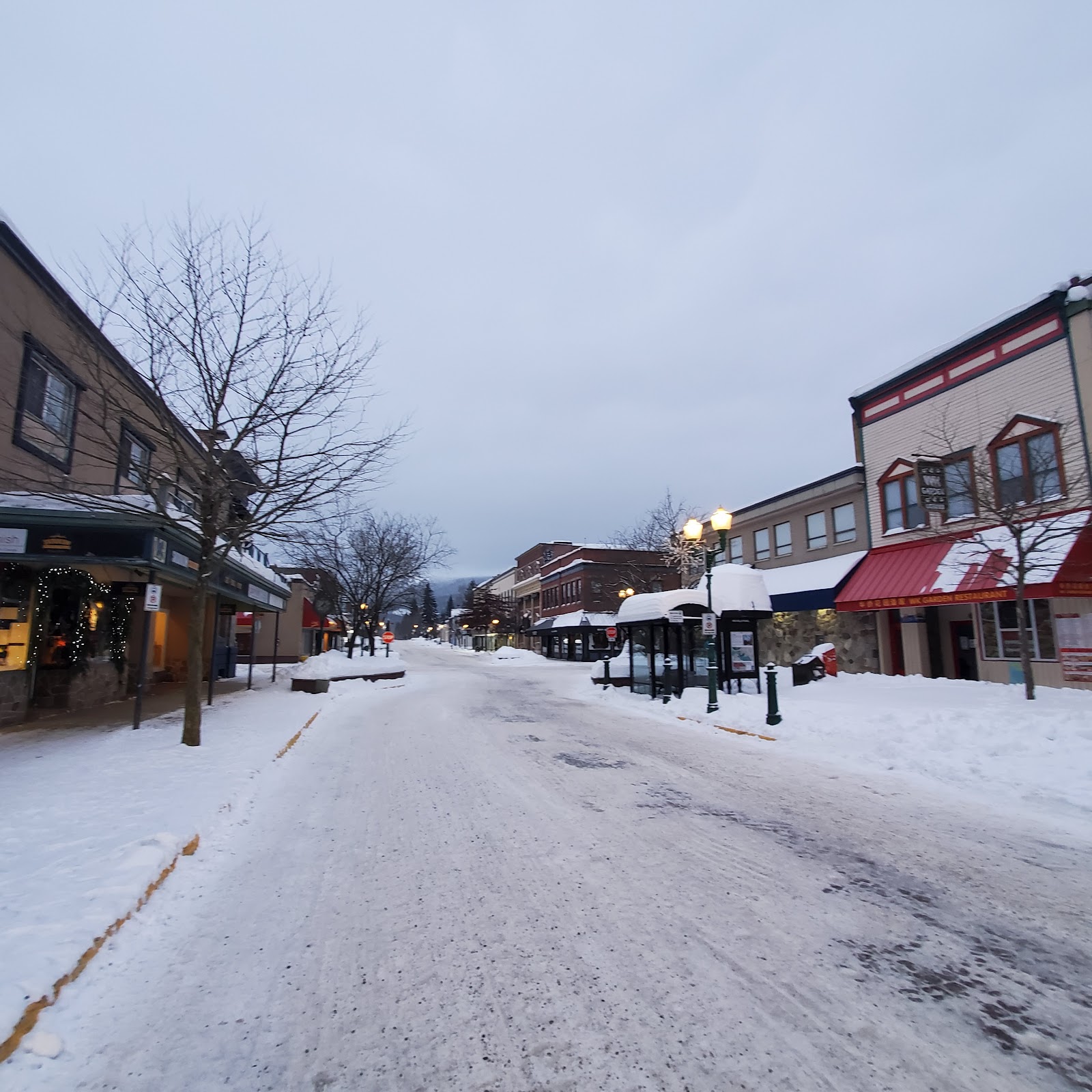 Revelstoke city