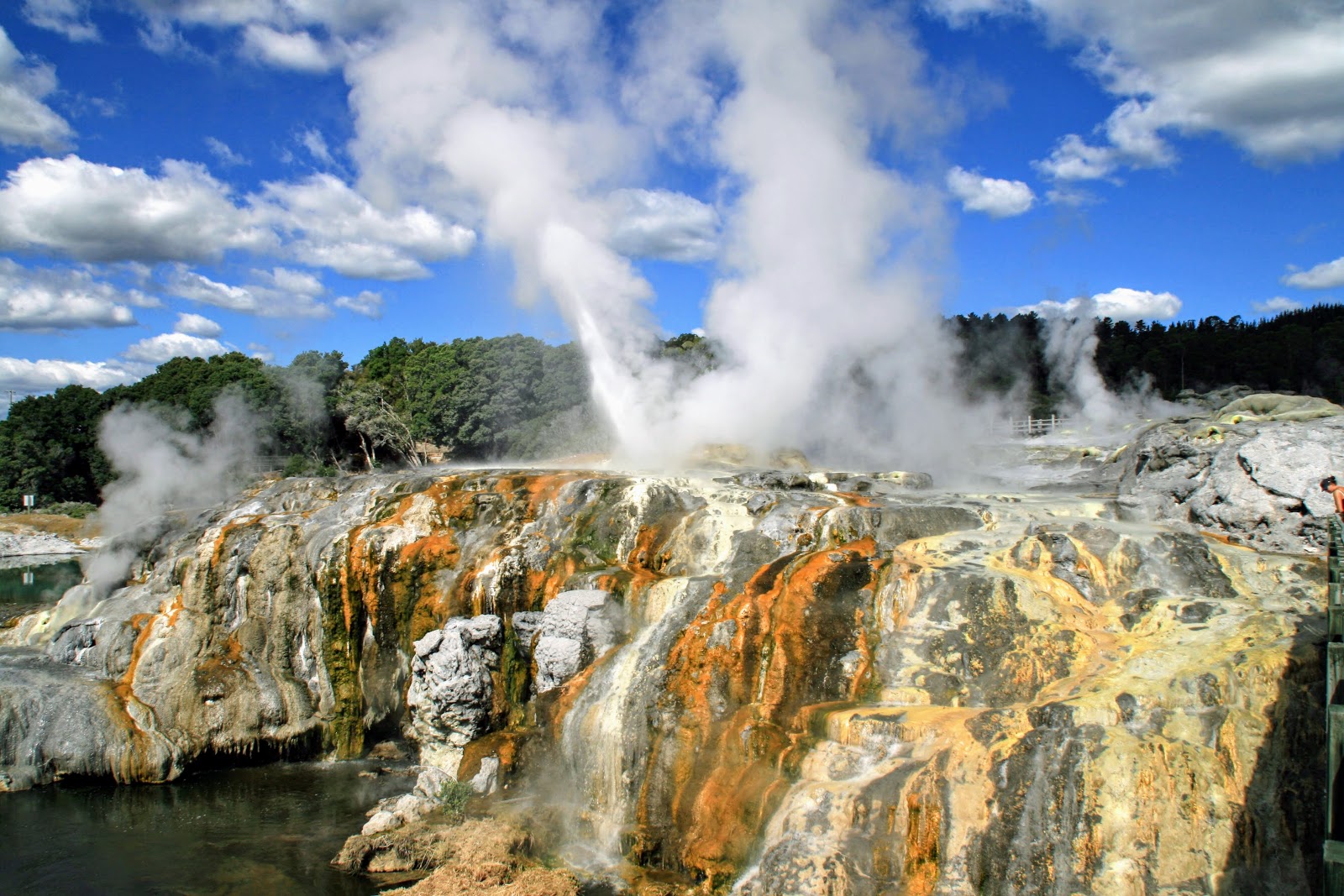 Rotorua city