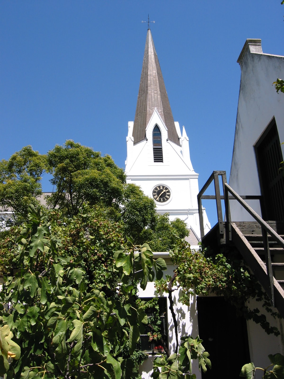 Stellenbosch city