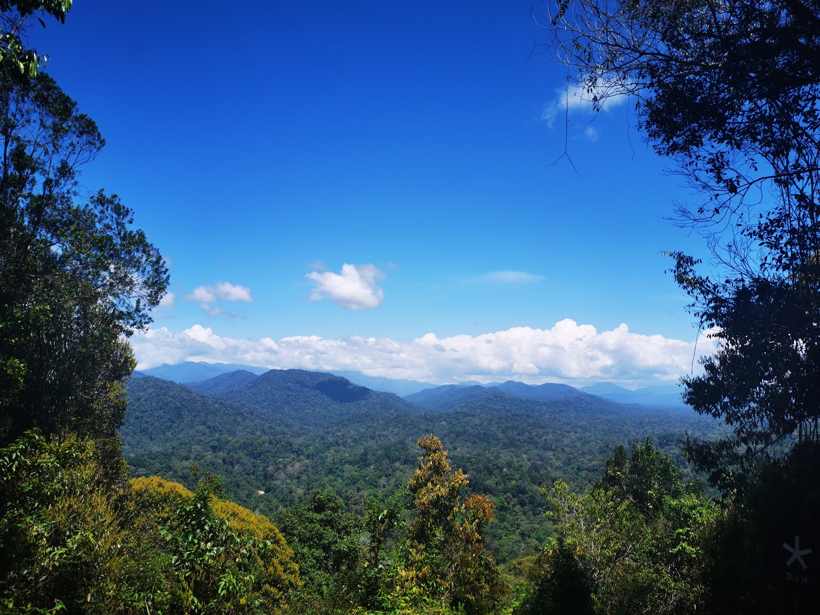 Taman-Negara-National-Park city