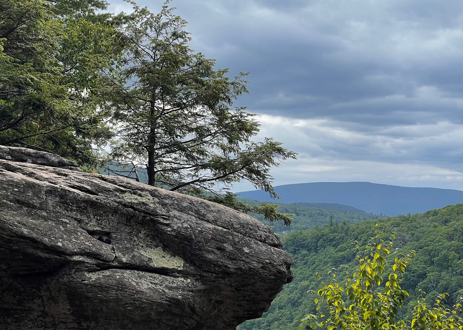 The-Catskills city