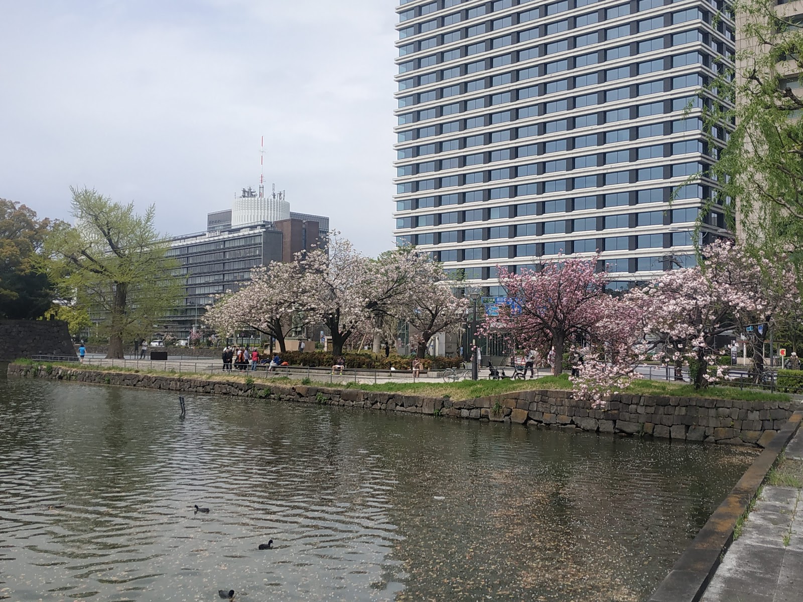 Tokyo-Prefecture city