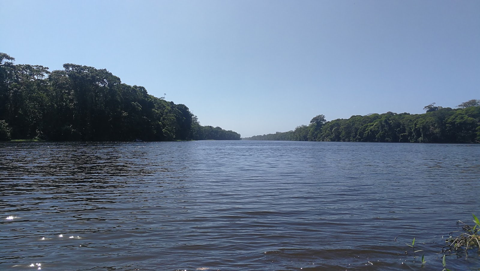 Tortuguero city