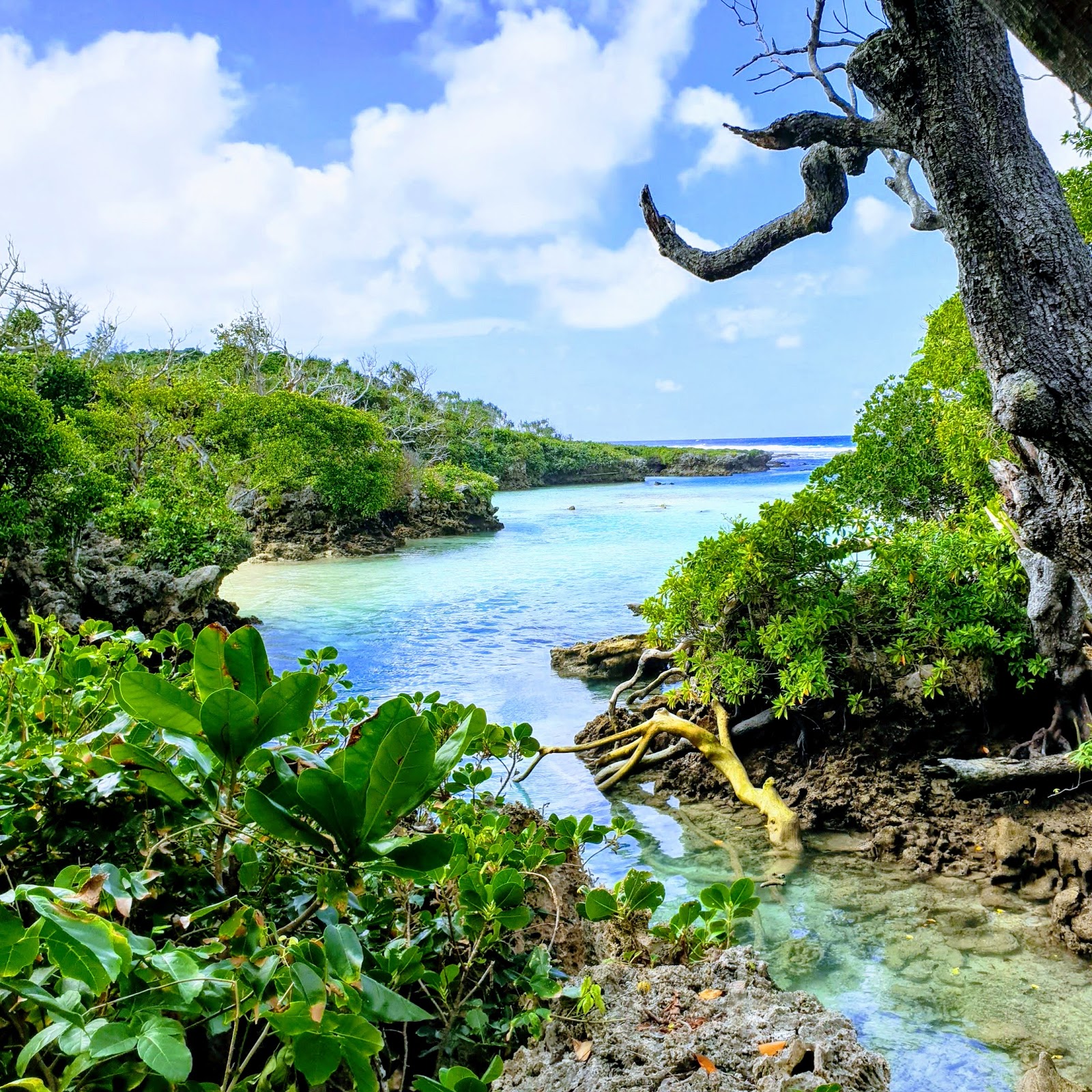 Vanuatu city