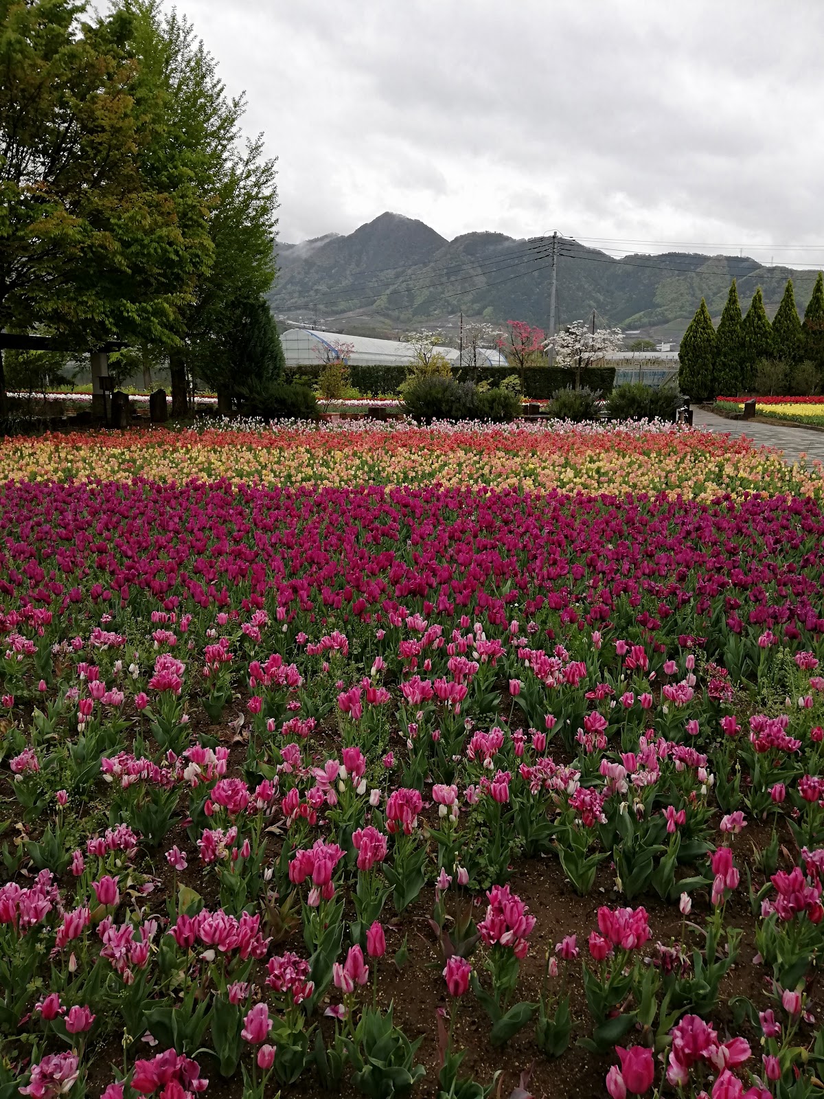 Yamanashi-Prefecture city